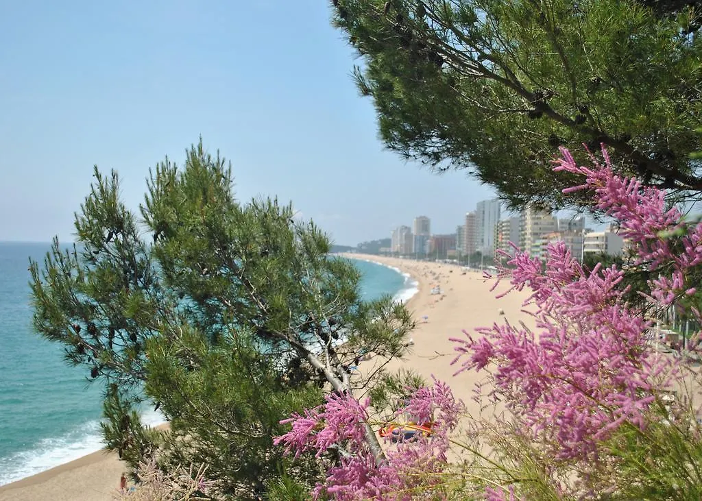 Cavall Bernat Platja D'Aro Hotel Castell-Platja d'Aro Apartment